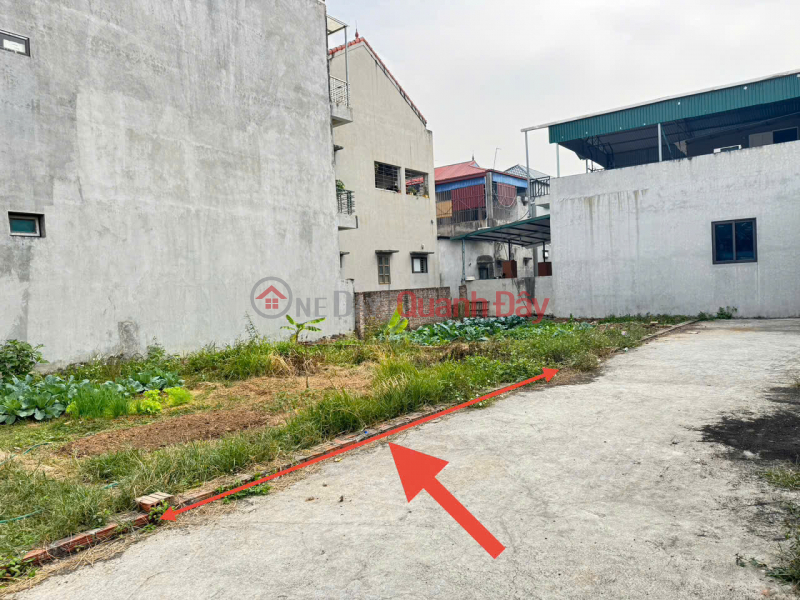 86m đất thôn Bạch Đa, Kim Hoa, Mê Linh. Mặt tiền rộng, đường rộng, oto đỗ. Gần KDT Kim Hoa Niêm yết bán