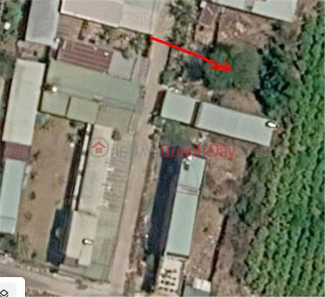 PRIME LOCATION LAND FOR SALE BY OWNER Land in Hung Long Hamlet, Hung Thinh Commune, Trang Bom District, Dong Nai Province. Sales Listings