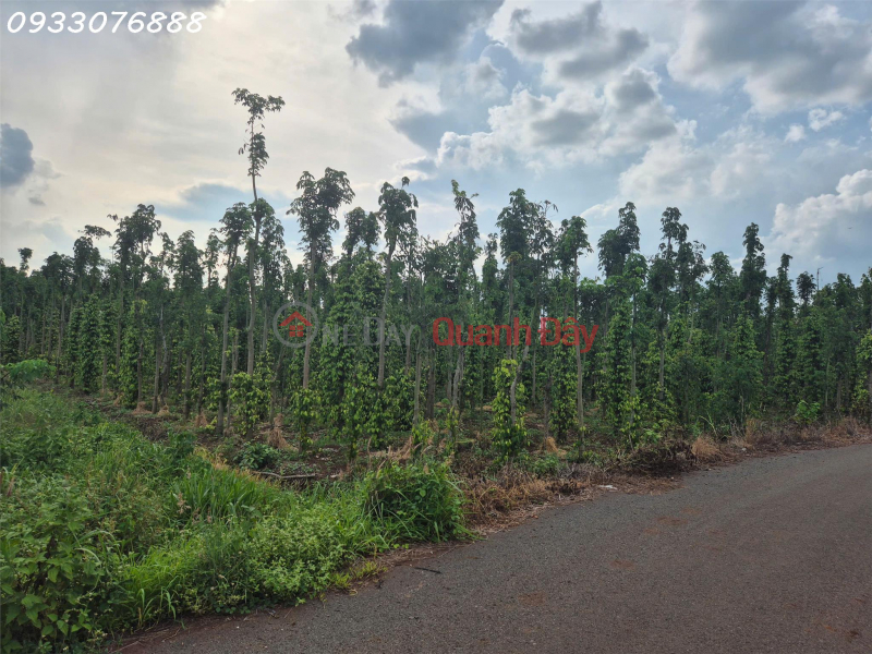 Property Search Vietnam | OneDay | Nhà ở Niêm yết bán, Bán đất tại Bình Trung, Châu Đức, Bà Rịa Vũng Tàu, DT 1.000m2, giá đầu tư