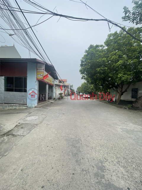 Cheap land for sale in Kim Chung Dong Anh in 2023 _0