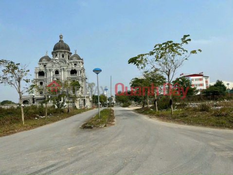 OWNERSHIP OF TRUONG THINH URBAN AREA - HAI DUONG CITY - BEAUTIFUL LOCATION AT: STAR Thanh Dong Land - Do Ngoc Du _0