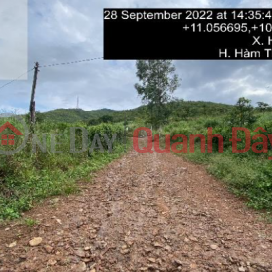 Land for sale in Binh Thuan, 11,591m2 - profitable investment opportunity - development potential _0