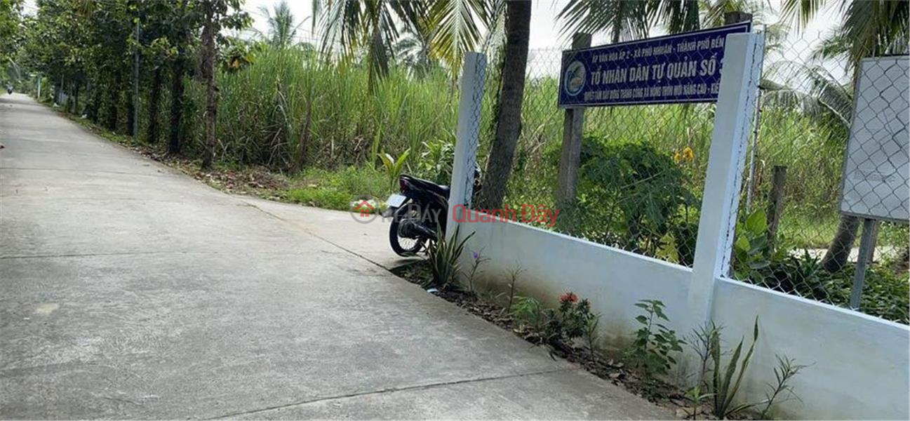 Property Search Vietnam | OneDay | Residential Sales Listings, OWNER Needs to Urgently Sell Newly Fruited Coconut Garden Land in Phu Nhuan, Ben Tre