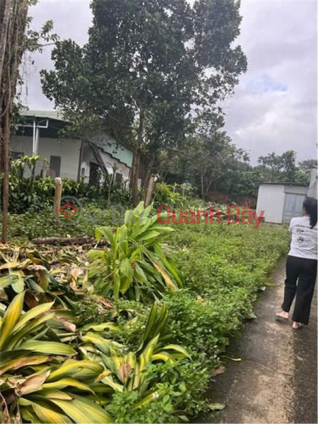 Đất Trung Tâm – Giá Tốt – Cần Bán Đất Tại Hẻm 95 Phan Chu Trinh, P. 3, TP.Bảo Lộc, Lâm Đồng, Việt Nam Bán | đ 5,5 tỷ