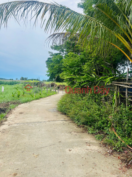 đ 1,9 tỷ | ĐẤT VƯỜN GÓC HIẾM TỊNH KHÊ – 550M² – THỔ CƯ SẴN – GIÁ TỐT CHỈ 1.8 TỶ