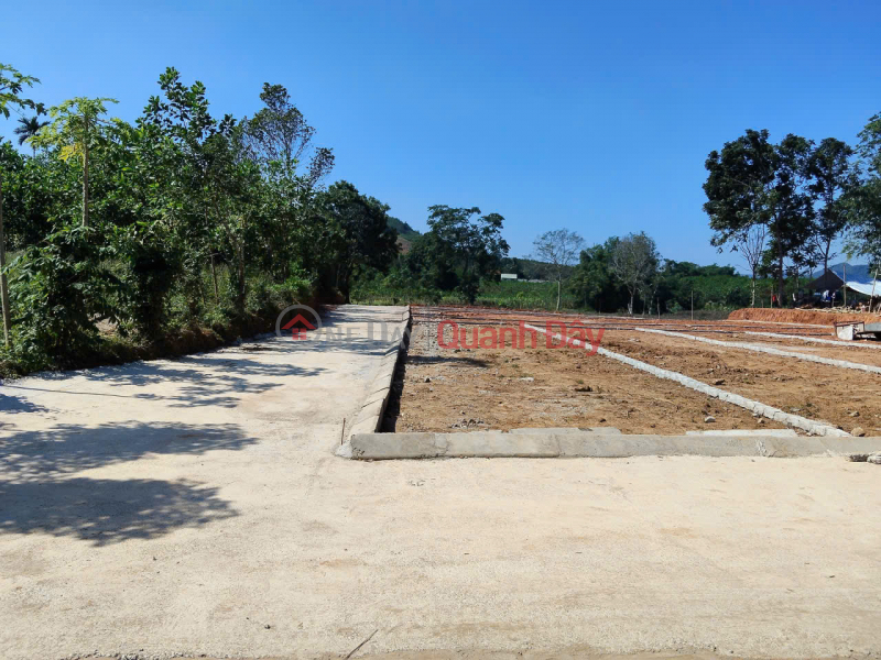 Property Search Vietnam | OneDay | Residential, Sales Listings | Owner selling 2 plots of land in Thanh Vinh, Thanh Hoa - Fully residential land, ready title deeds, only 160 million VND per plot.