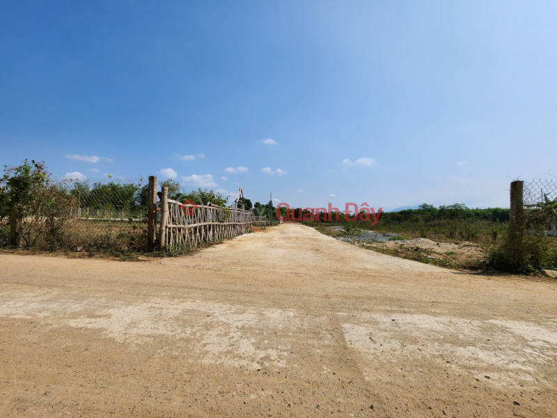 Selling 2 lots of land near the river bank, concrete road frontage of Song Cau - Khanh Vinh!!! | Vietnam, Sales, đ 982 Million