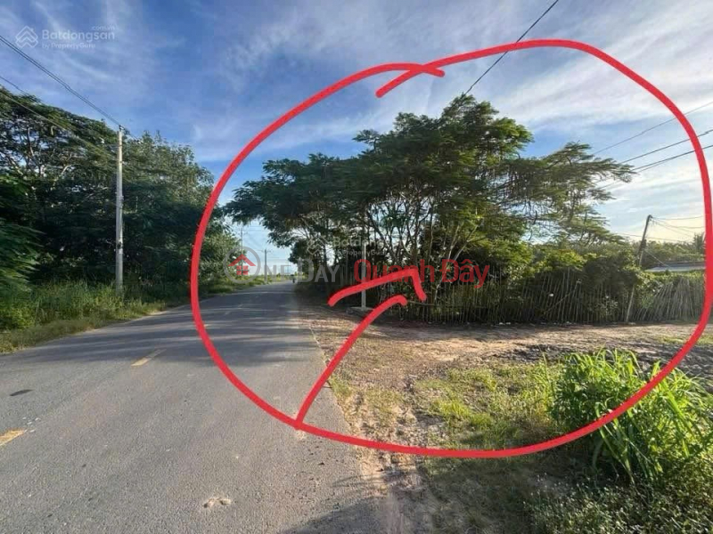 Property Search Vietnam | OneDay | Nhà ở Niêm yết bán | Bán ĐẤT CHÍNH CHỦ Đường Lộ 785C Xã Tân Hà, Huyện Tân Châu, Tây Ninh