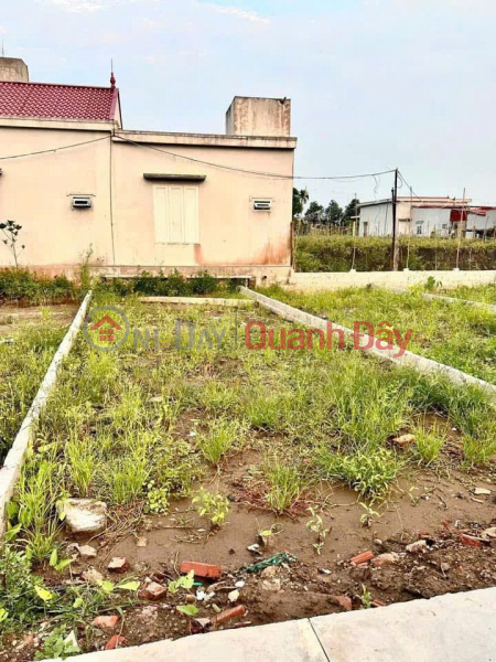 Property Search Vietnam | OneDay | Residential | Sales Listings Land in the center of Bang La - Do Son, price only 7xx million, car access to the door! ZALO 0567 222 555