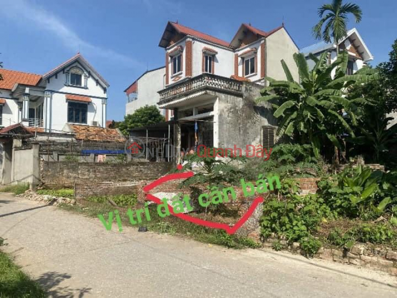 Property Search Vietnam | OneDay | Residential, Sales Listings | BUSINESS PLACE AVAILABLE Tan My, Thuy Huong commune, Chuong My - D\\/w: 46.1m full residential land with red book owner