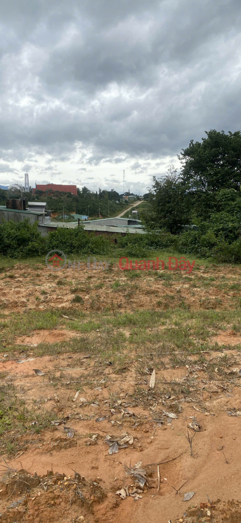 Selling 1034m2 of Road Frontage Land in Plei Kan Town, Ngoc Hoi District, Kon Tum Province _0