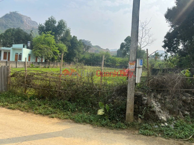 Property Search Vietnam | OneDay | Residential, Sales Listings, OWNER SELLS LOT OF LAND 2460M2 IN LUONG SON-HOA BINH