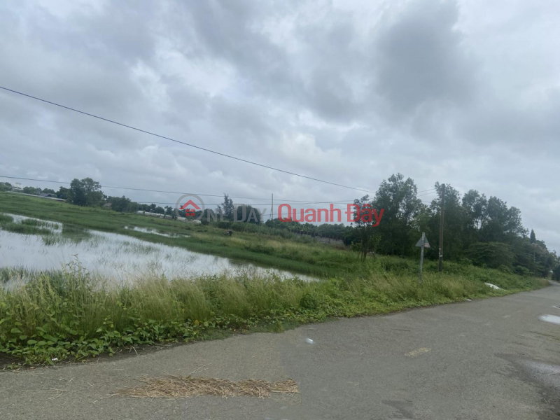 Property Search Vietnam | OneDay | Residential, Sales Listings | Land for sale in Duong Cong Khi, Xuan Thoi Son Commune, HOC MON, 7908m2, 8m asphalt road, price only 47 billion