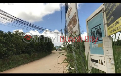 BEAUTIFUL LAND - GOOD PRICE - Owner For Sale Or Rent A Land Lot Prime Location In Da Lat City, Lam Dong _0