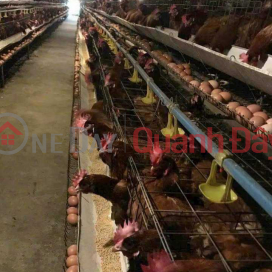 CHICKEN FARM 17HA, LONG THANH, DONG NAI, FOR RENT 1 BILLION\/MONTH. SELL 130 BILLION _0