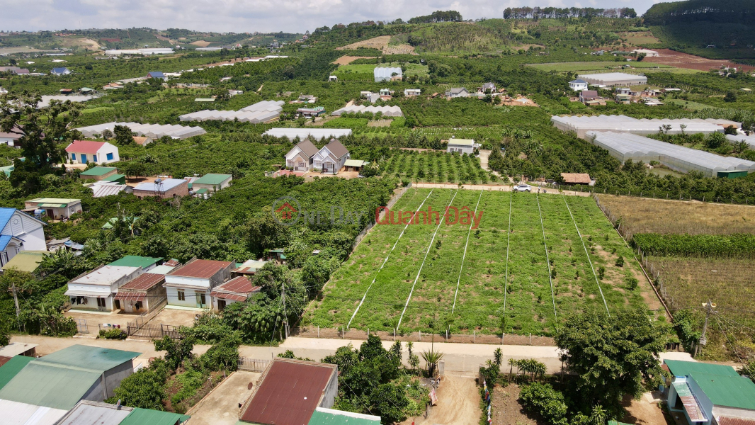 Thanh lí lô đất cuối cùng Mê Linh quy hoạch TP Đà Lạt chỉ 860 triệu Việt Nam, Bán, đ 860 triệu