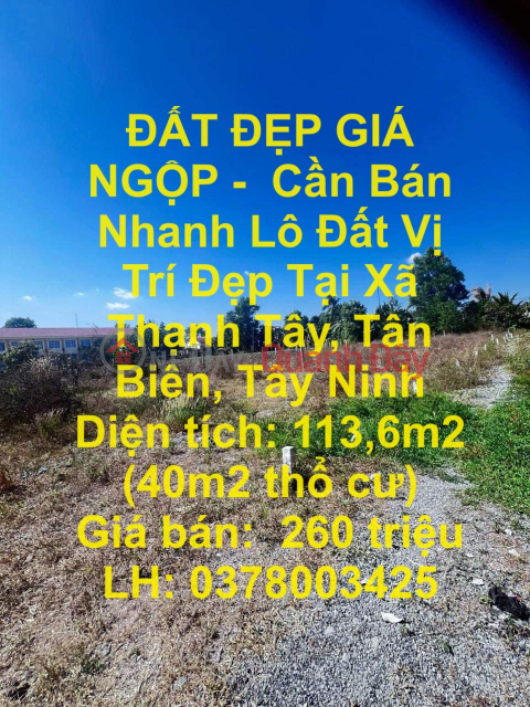 BEAUTIFUL LAND AT AMAZING PRICE - For Quick Sale Lot of Land with Good Location in Thanh Tay Commune, Tan Bien, Tay Ninh _0