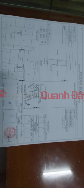 Property Search Vietnam | OneDay | Residential | Sales Listings | Beautiful Land - Good Price - Owner Needs to Sell Land Plot Quickly, Location in Binh Chanh District, HCMC