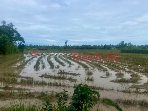 BEAUTIFUL LAND - CHEAP PRICE - QUICK SALE OF 2 LOT OF LAND IN BINH THUY DISTRICT, CAN THO CITY _0