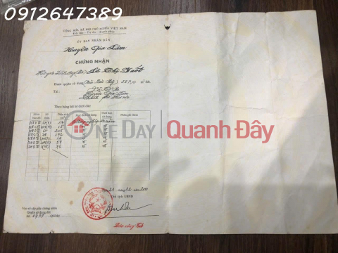 Land plot for sale, 557m2, in Co Bi commune, Gia Lam district, Hanoi, good price 2.228 billion VND. _0