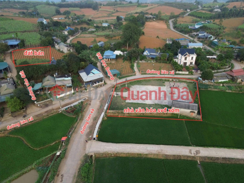 TÔI CHÍNH CHỦ BÁN LỖ LÔ ĐẤT TẠI CAO PHONG, HÒA BÌNH. _0