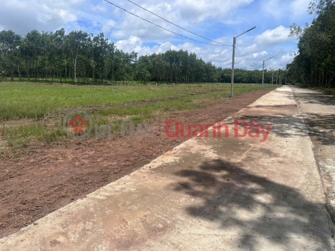 BEAUTIFUL LAND – VERY GOOD PRICE – LAND FOR SALE IN Loc Ninh District, Binh Phuoc Province _0