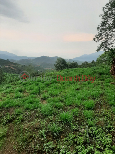 LAND FOR SALE IN BAO LOC - LOC THANH - LAM DONG - 0984967076, Vietnam | Sales, ₫ 5.5 Billion