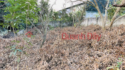 Selling a 645m2 plot of land (15m wide, 43m deep) located in Bo Pun Sub-district – Moc Chau – Son La. _0