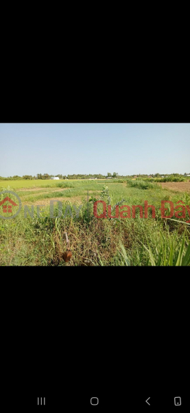 PRIME LAND - GOOD PRICE - Selling Location Land Lot in Binh Trung Dong hamlet, Binh Nhi commune, Go Cong Tay, Tien Giang, Vietnam Sales, ₫ 3 Billion