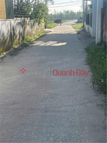 HOT HOT - CẦN BÁN LÔ ĐẤT VỊ TRÍ ĐẸP TẠI khối 8 xã nghi phong,huyện Nghi Lộc, tỉnh Nghệ An Việt Nam | Bán | đ 2,46 tỷ