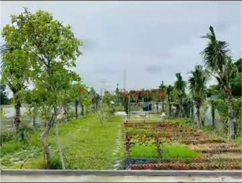 Property Search Vietnam | OneDay | Residential, Sales Listings | Garden for sale 1,110m2, frontage of Tan Hiep 1-7, Hoc Mon, only 6.5 million\\/m2