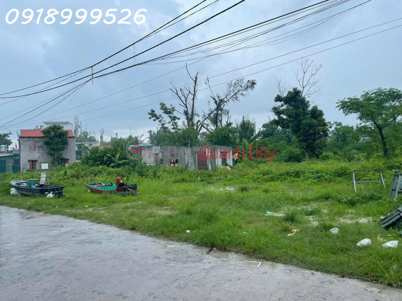 Need money to quickly sell a super nice plot of land with a 32m wide frontage in Minh Chau Commune, Quang Ninh, investment price Vietnam | Sales | đ 13.53 Billion