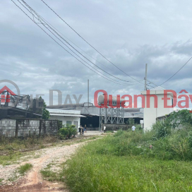 Quick sale of land by owner in Dau Tieng Binh Duong, cheap price 300 m2, only 290 million _0