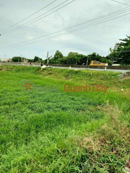 Beautiful land right on National Highway 1A, near residential area, Ninh An market, post office, bank Sales Listings
