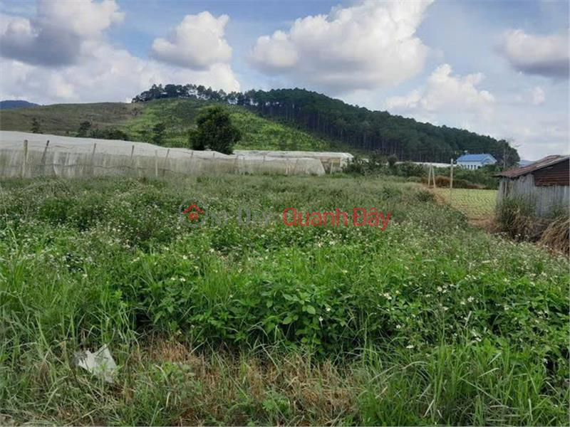 BEAUTIFUL LAND - GOOD PRICE - OWNER NEEDS TO SELL LAND PLOT At Address: Lac Xuan Commune, Don Duong, Lam Dong Sales Listings