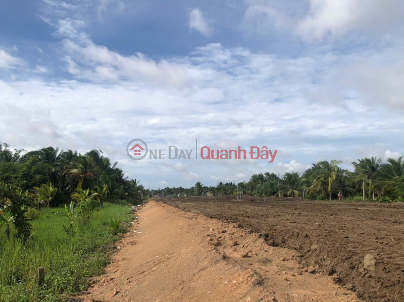 Land for Rent by Owner, Adjacent to Provincial Road 870B, Binh Duc Commune, Chau Thanh, Tien Giang | Vietnam Rental, đ 31.5 Million/ month