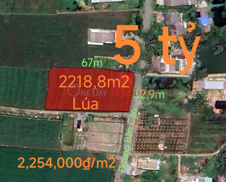 Selling a plot of rice land for a warehouse near National Highway 50B for 5 billion Sales Listings