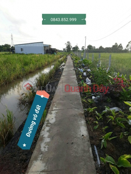 Property Search Vietnam | OneDay | Residential, Sales Listings | The Owner Needs Urgent Sale of Land Plot Great Location At Hon Dat-Kien Giang
