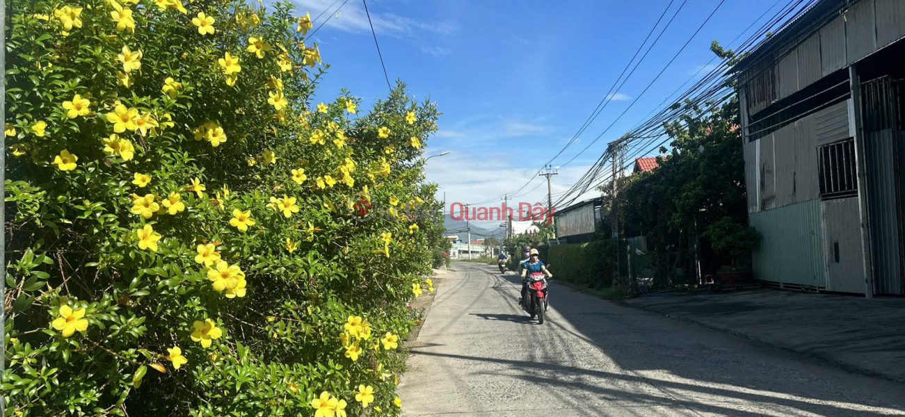 Property Search Vietnam | OneDay | Residential, Sales Listings Land lot on Huynh Thuc Khang street, Dien Toan, Dien Khanh. Selling price 16.5 million\\/m2!