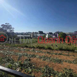 bán nhanh lô đất xây dựng DT : 1028m² full thổ cư, ngang 12m _0