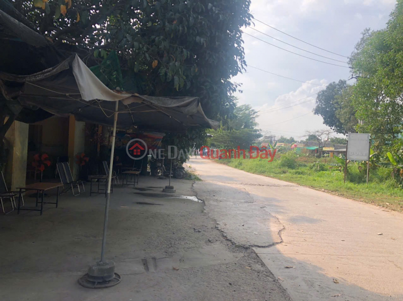 NHÀ VƯỜN ĐẸP – CHÍNH CHỦ CẦN BÁN Nhà Vườn Mặt Tiền Đường Nam Cao, P. Tân Mai, Biên Hòa, Đồng Nai Niêm yết bán