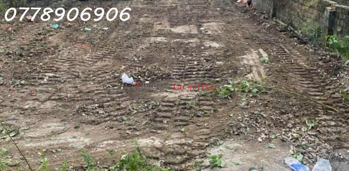 Property Search Vietnam | OneDay | Residential, Sales Listings | LAND LOT FOR SALE WITH 2 FRONTS, CAR ALLEY 6M WIDE - HOANG VAN THAI, LIEN CHIEU