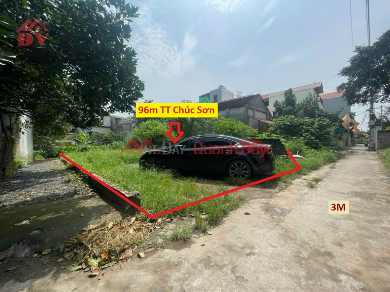 OWNER NEEDS TO SELL 96M2 LAND LOT IN CUC SON CENTER - CHUONG MY - HANOI Sales Listings