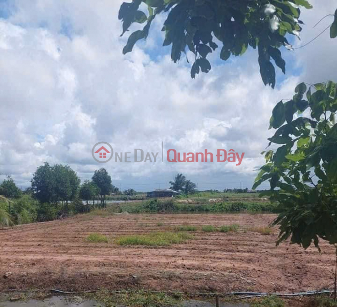 Property Search Vietnam | OneDay | Nhà ở, Niêm yết bán, CHÍNH CHỦ Cần Bán Nền Mặt Tiền Tại Xã Hiệp Thành, TP Bạc Liêu
