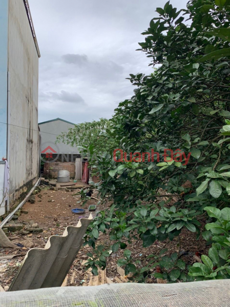 Selling Chuong My land 150m2, frontage 8m, 1.8 billion (negotiable) Sales Listings