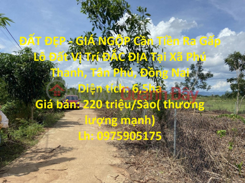 ĐẤT ĐẸP - GIÁ NGỘP Cần Tiền Ra Gấp Lô Đất Vị Trí ĐẮC ĐỊA Tại Xã Phú Thanh, Tân Phú, Đồng Nai _0