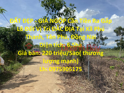 BEAUTIFUL LAND - INCREDIBLE PRICE Need Money Urgently Land Lot GENERAL Location In Phu Thanh Commune, Tan Phu, Dong Nai _0