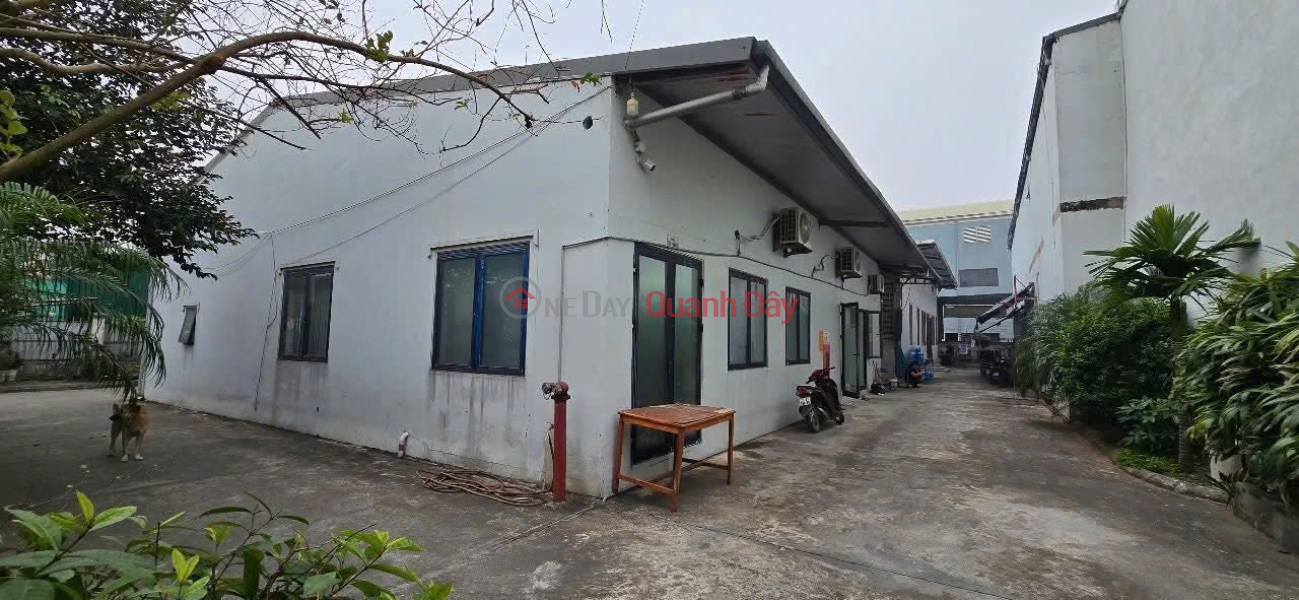 Chính chủ bán siêu phẩm đất KCN Ninh Hiệp Gia Lâm 1.200m2 - Đường container 15m, sẵn kho xưởng Niêm yết bán