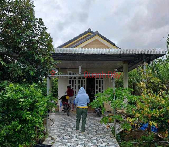 Property Search Vietnam | OneDay | Nhà ở Niêm yết bán, mảnh vườn trồng cây ăn quả đủ loại rộng 1 sào