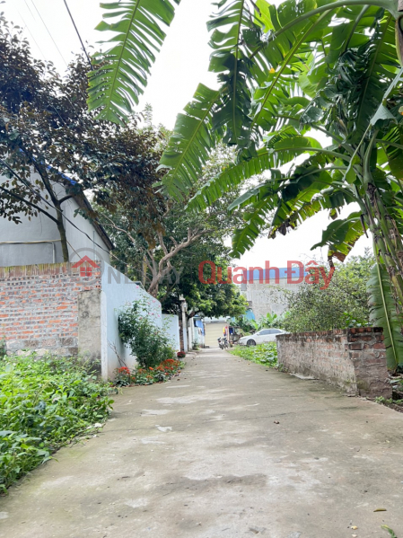 The owner needs to sell a plot of land of 54.5m2 in Phung Chau Sales Listings